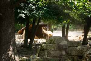 _MG_2892_ed