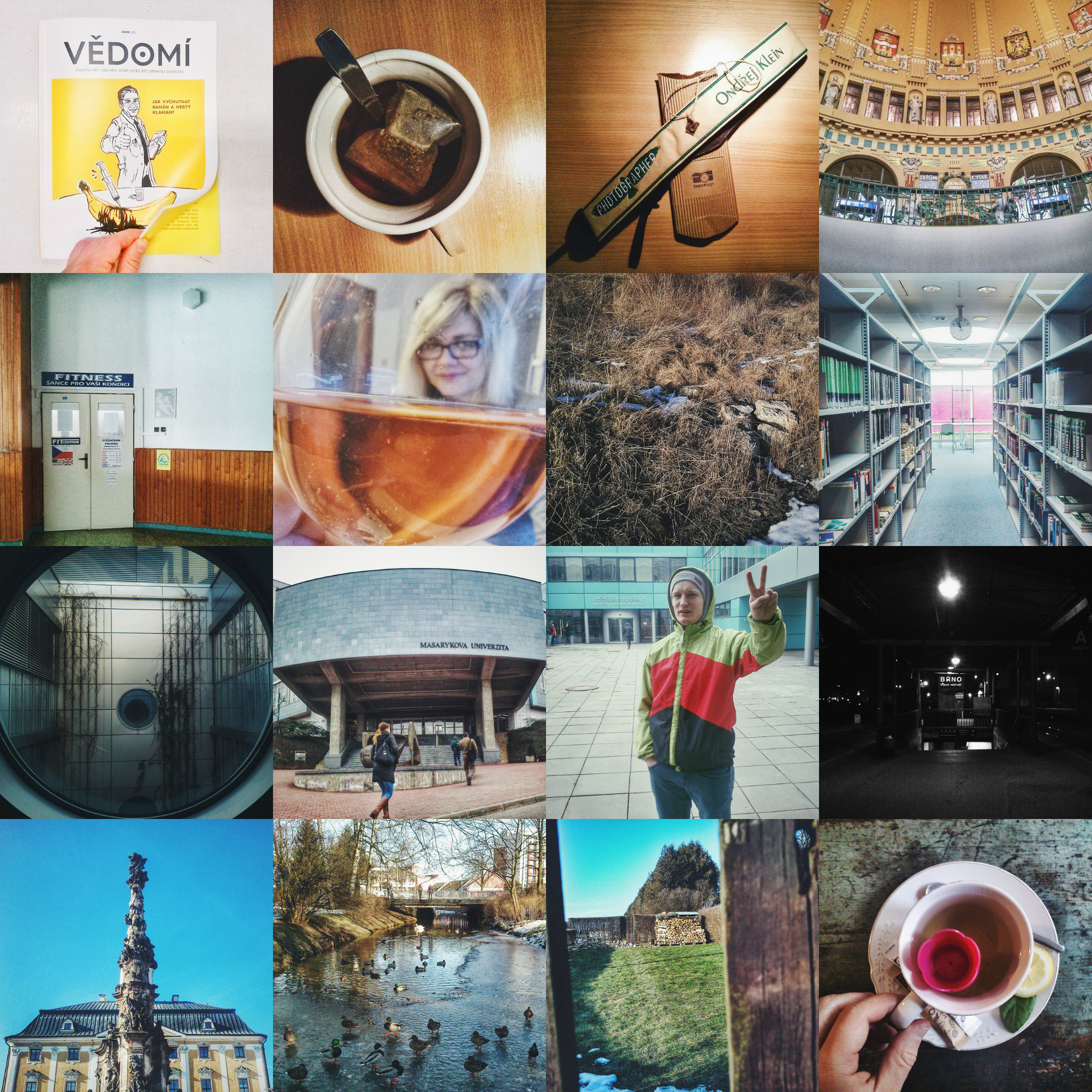 PicMonkey Collage_2