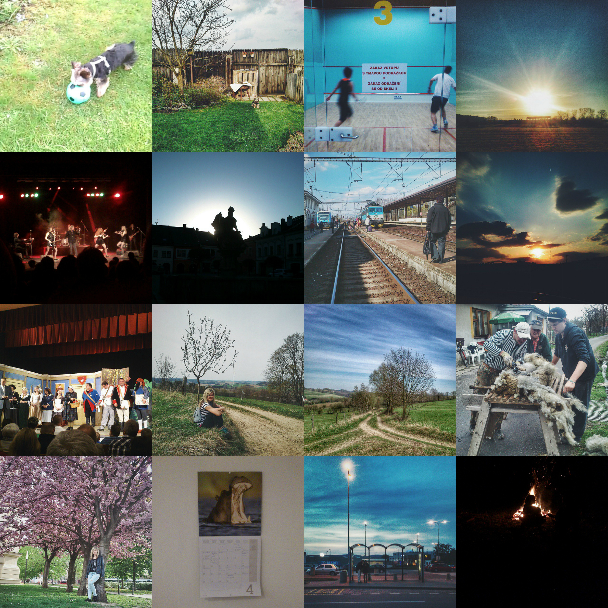 PicMonkey Collage_2