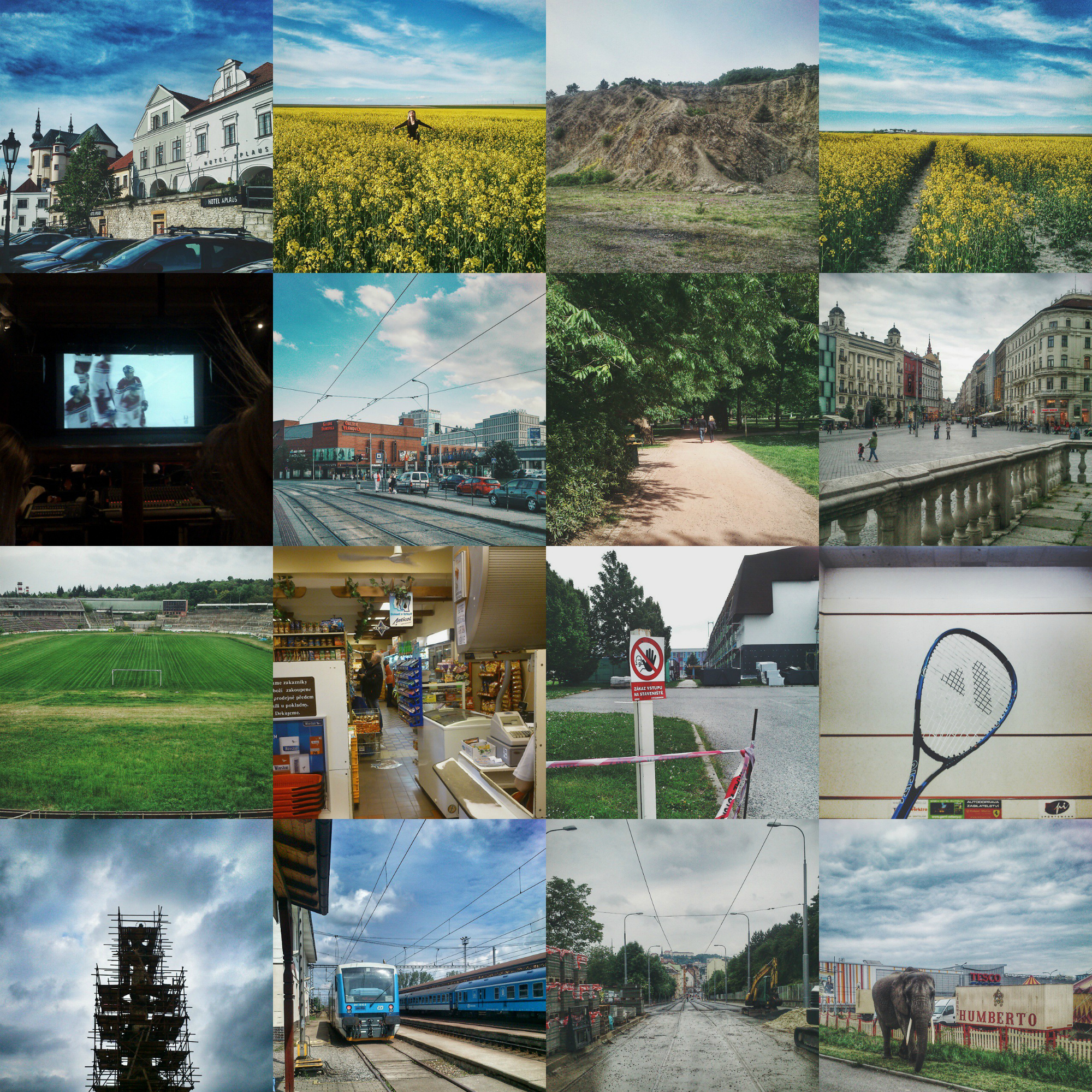 PicMonkey Collage_2