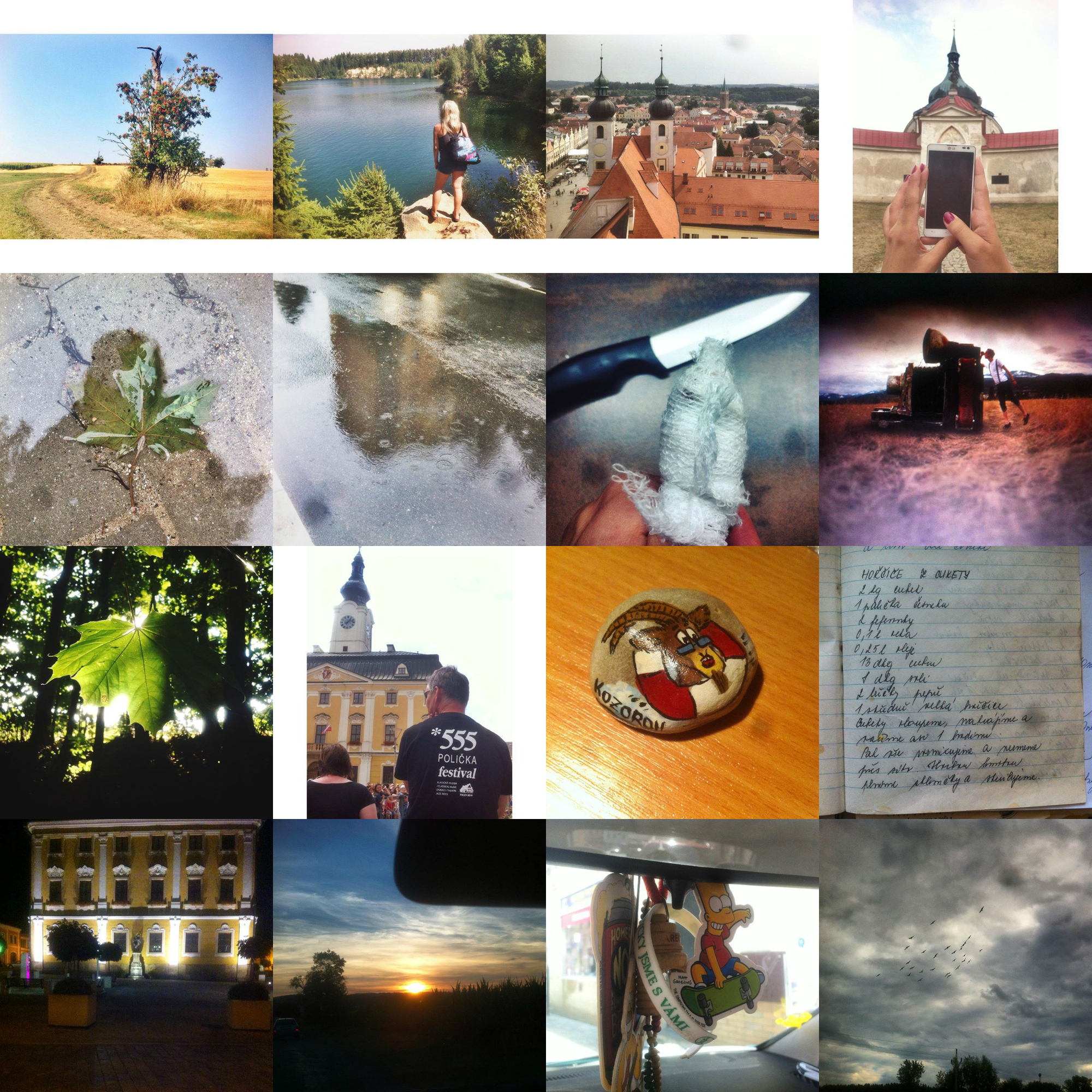 PicMonkey Collage_2