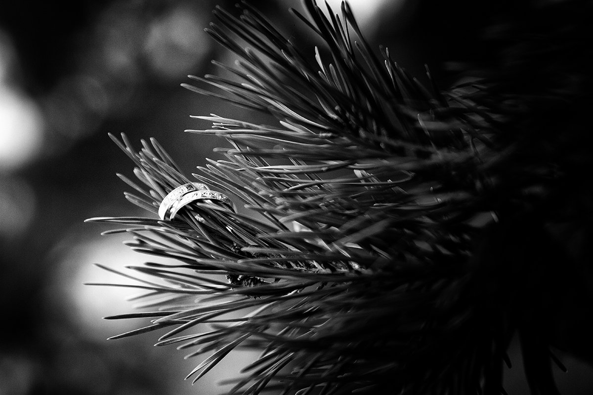 _mg_6019_bw